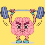 Perfect Brain 3D Puzzle